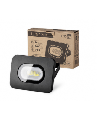 Светодиодный прожектор LFL-30/05, 5500K, 30 Вт LED, IP65