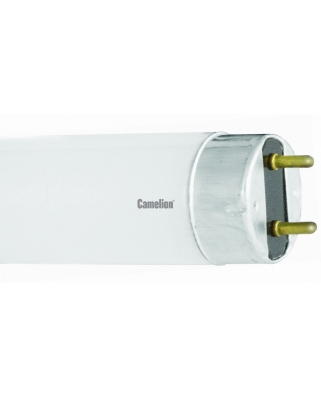 Camelion FT8-10W/33 Cool light (4200K)(Люм. ламп25