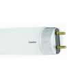 Camelion FT8-30W/33 Cool light (4200 K)(Люм.ламп25