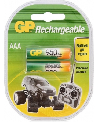 GP Аккумулятор 95AAAHC-2DECRC2