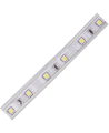 Ecola LED strip 220V STD 4,8W/m IP68 12x7 60Led/m 6000K 4Lm/LED 240Lm/m лента на катушке 50м.