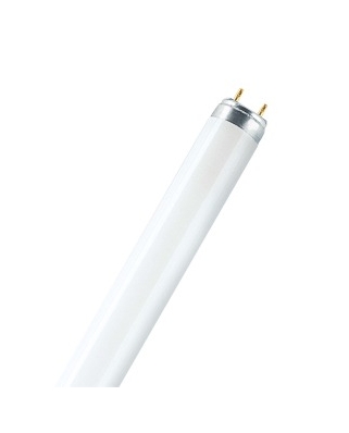 Osram лампа Т8 18W /765(Лампа люмин,18Вт)(25)