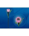 Uniel USL-C-451/PT305 PINK TULIP Садовый светильник на солнечной батарее "Розовый тюльпан". 