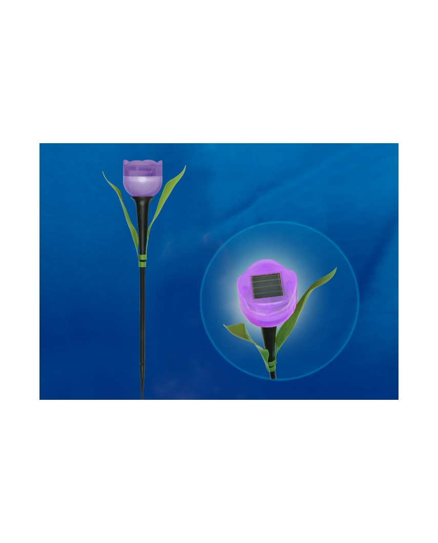Uniel USL-C-453/PT305 PURPLE TULIP Садовый светильник на солнечной батарее "Лиловый тюльпан"
