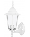 Camelion 4101 (10) С01 Белый Свет-к уличн-сад. 230В 60Ватт (S=400x220, (10)