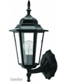Camelion 4101 (10) С02 Черный Свет-к уличн-сад. 230В 60Ватт (S=400x220) (10)