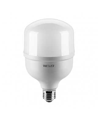WOLTA Лампа LED25WHP30W E27/40
