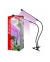 Ultraflash UF-781 C02 (ФИТО светильник 12 Вт на прищепке)
